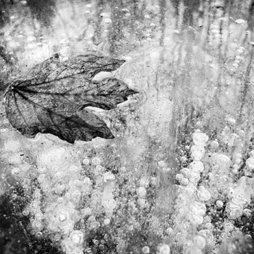 End_of_Ice
