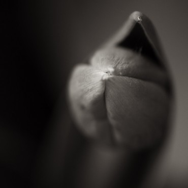 Untitled-III