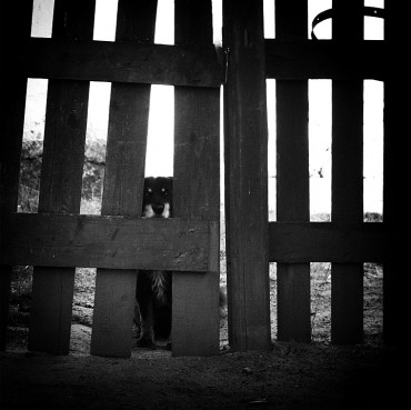 Behind-the-Fence
