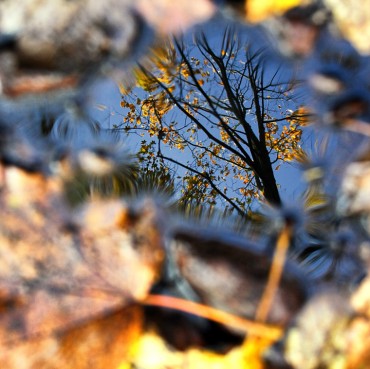Mirror-of-the-Autumn