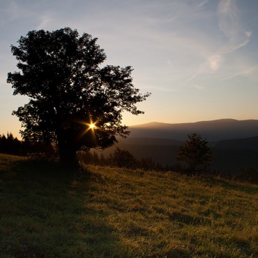 Morning-in-the-Mountains
