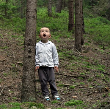 Wow,-the-Forest