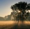 Sun rays