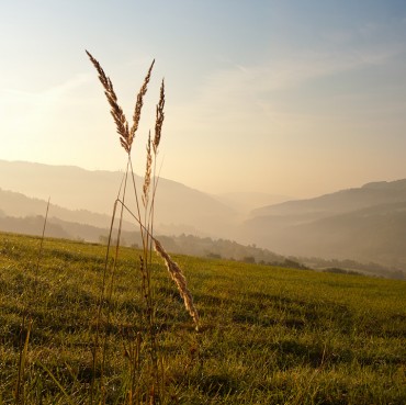 white-hills