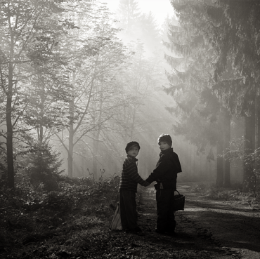 Mushroom_Pickers
