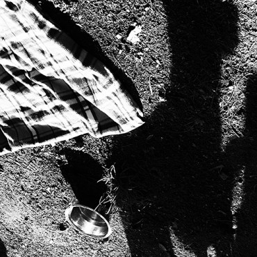 Shadow Dog
