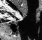 Shadow Dog